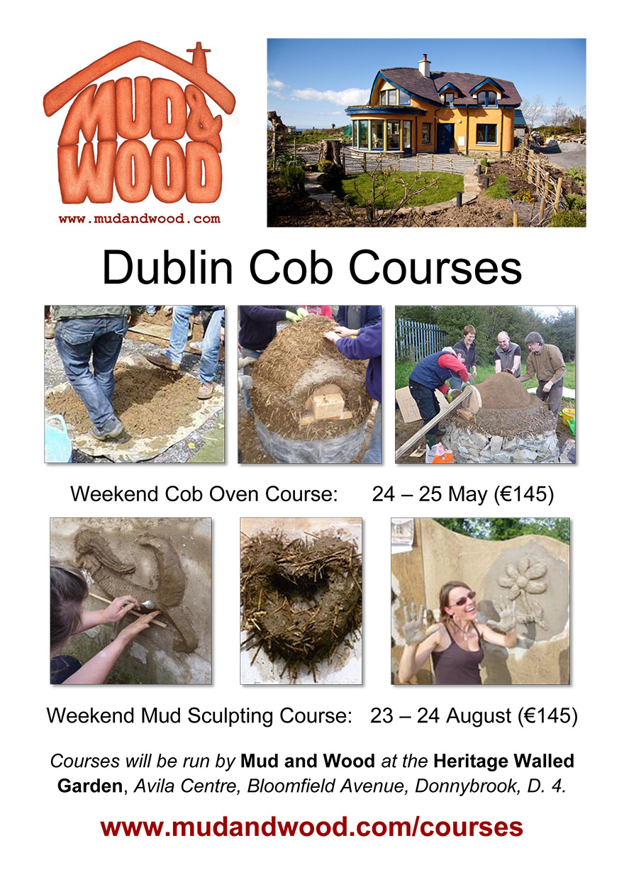 dublin courses poster